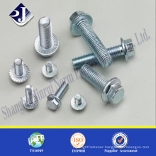 Main product flange bolt Zinc finished hex flange Din6921 M12 hex flange bolt